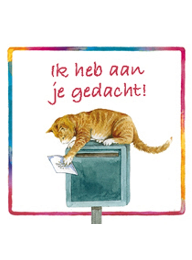 Vierkante wenskaart poes, "Ik heb aan je gedacht"