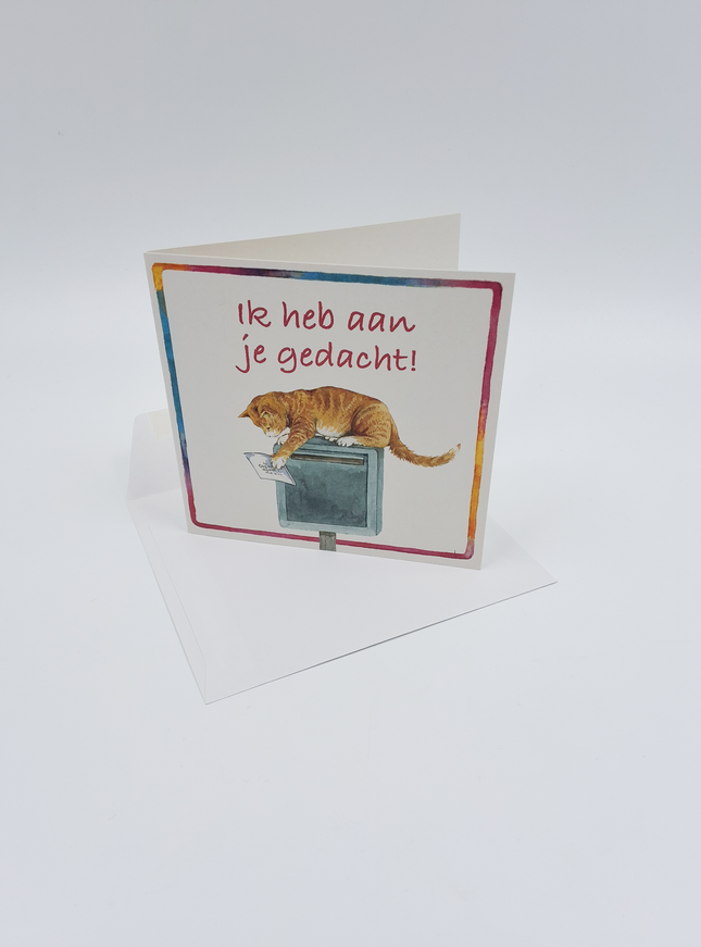 Vierkante wenskaart poes, "Ik heb aan je gedacht"