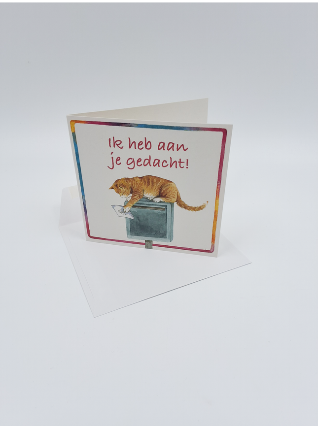 Vierkante wenskaart poes, "Ik heb aan je gedacht"
