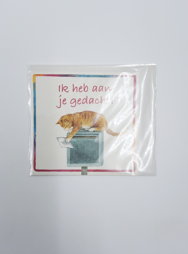 Vierkante wenskaart poes, "Ik heb aan je gedacht"