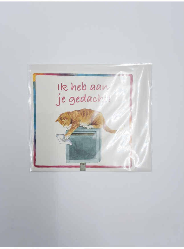 Vierkante wenskaart poes, "Ik heb aan je gedacht"