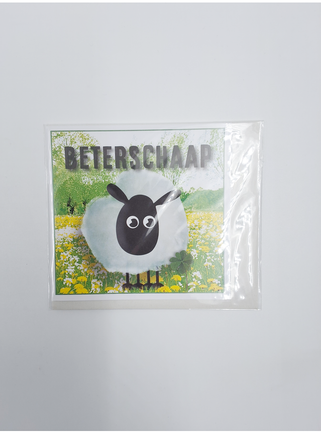 Vierkante wenskaart "Beterschaap!"