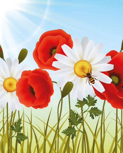 Vierkante wenskaart klaprozen