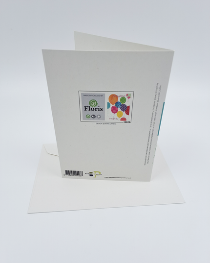 Wenskaart ballonnen HG