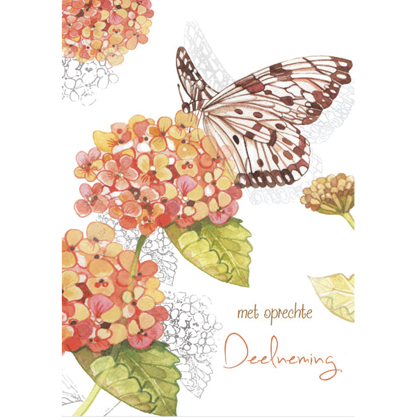 Wenskaart vlinder, met oprechte deelneming