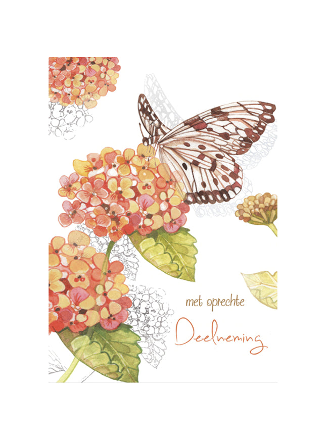 Wenskaart vlinder, met oprechte deelneming