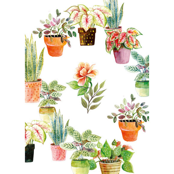 Wenskaart ring van planten