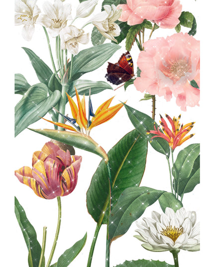 Wenskaart botanische tuin