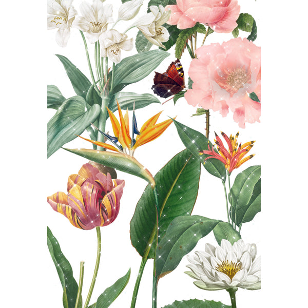 Wenskaart botanische tuin