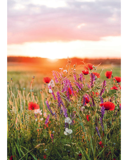 Wenskaart zonsopkomst bloemen