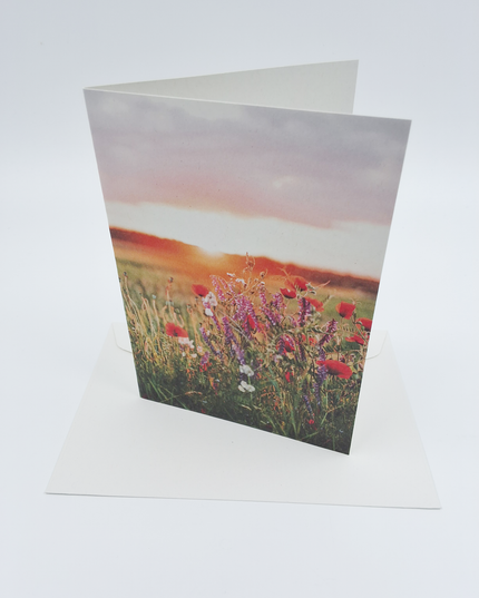 Wenskaart zonsopkomst bloemen