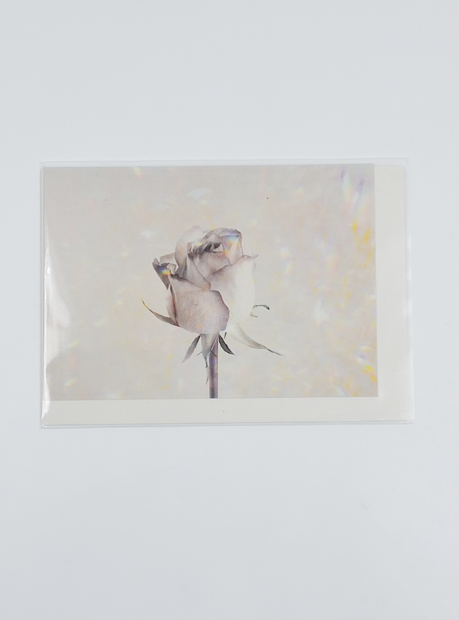 Wenskaart roos holographic