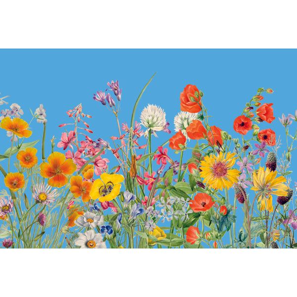 Wenskaart bloemen en blauwe lucht