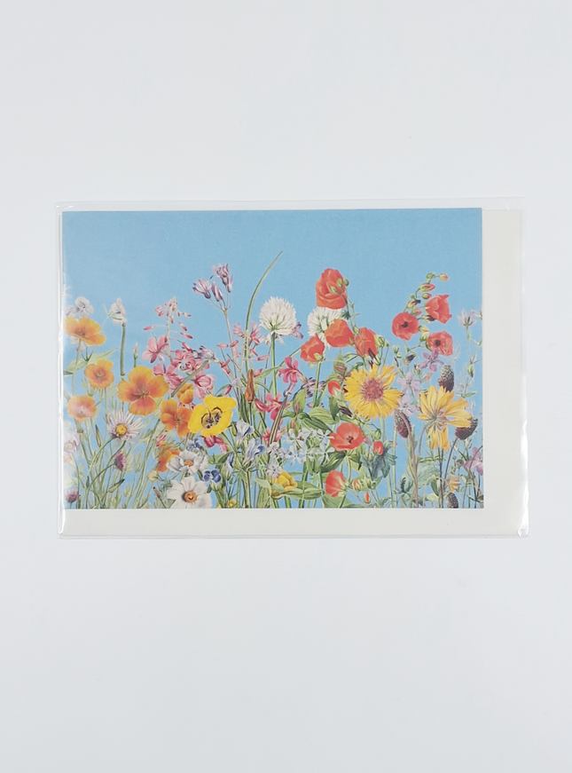 Wenskaart bloemen en blauwe lucht