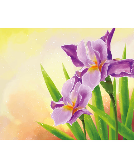 Wenskaart paarse irissen