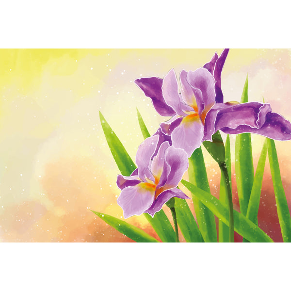 Wenskaart paarse irissen