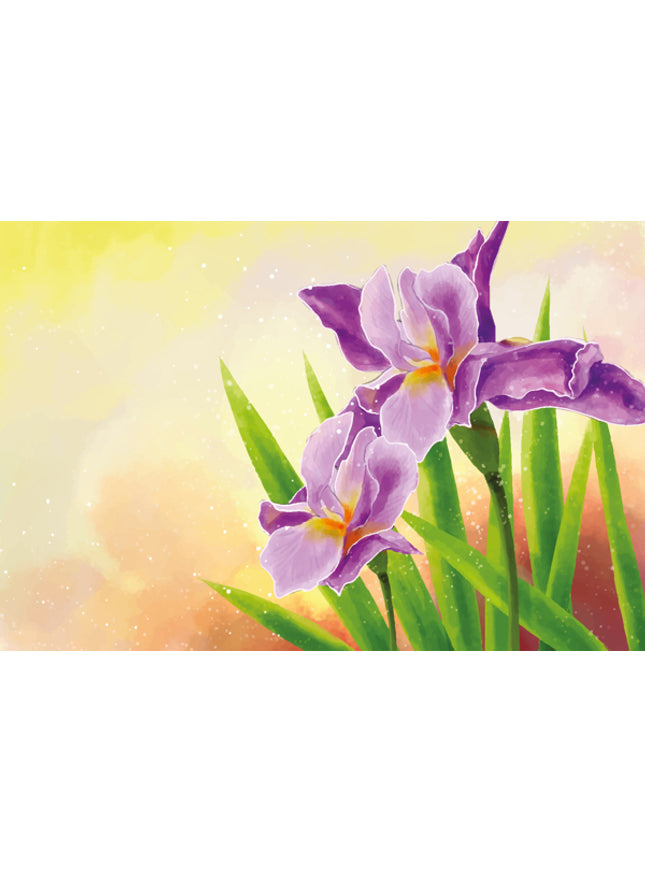 Purple irises greeting card