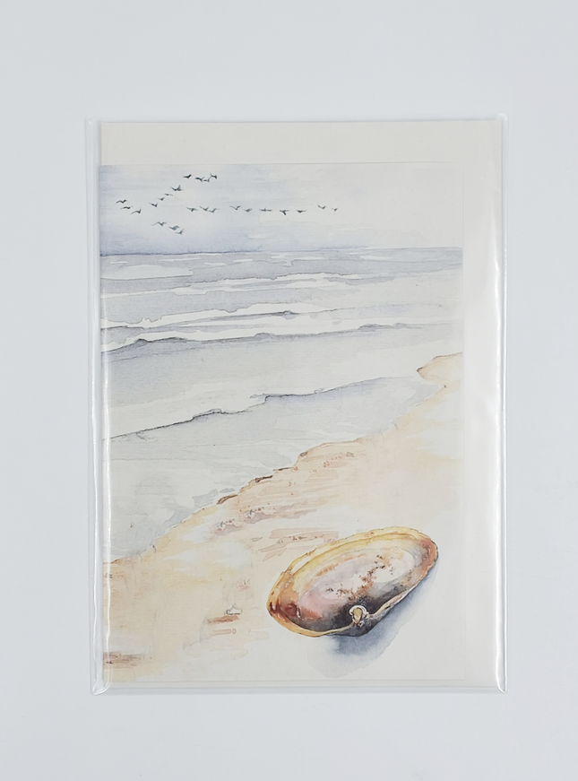 Wenskaart strand met schelp