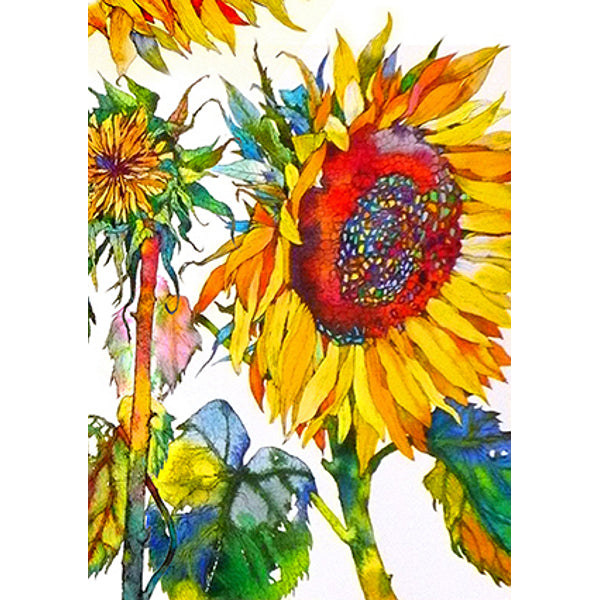 Wenskaart zonnebloem