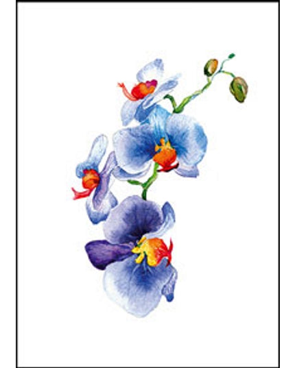Wenskaart orchidee blauw