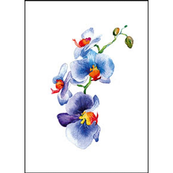 Wenskaart orchidee blauw