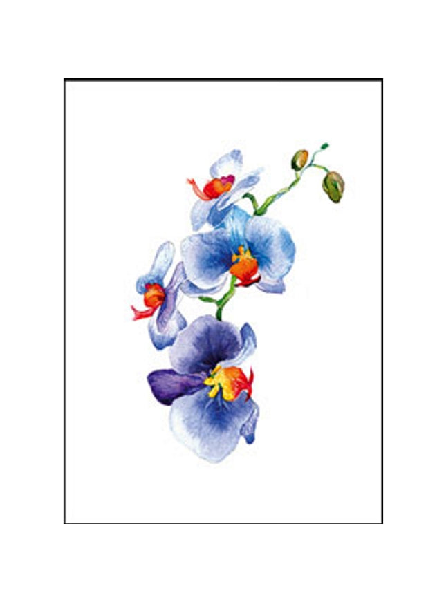 Greeting card orchid blue
