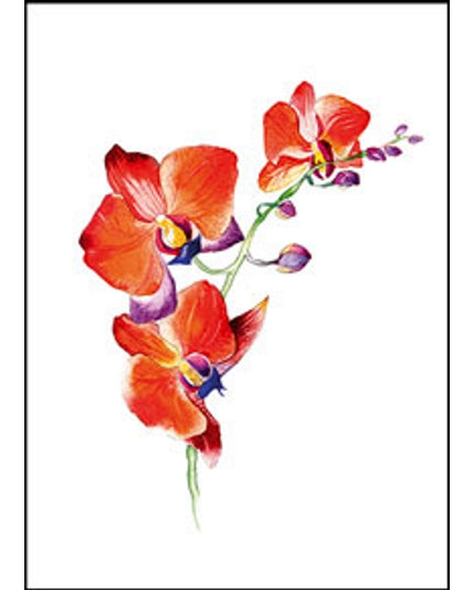 Wenskaart orchidee rood