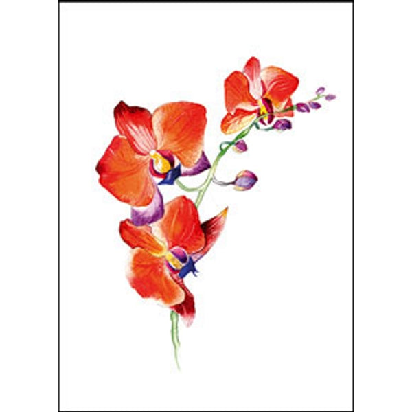 Wenskaart orchidee rood