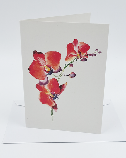 Wenskaart orchidee rood