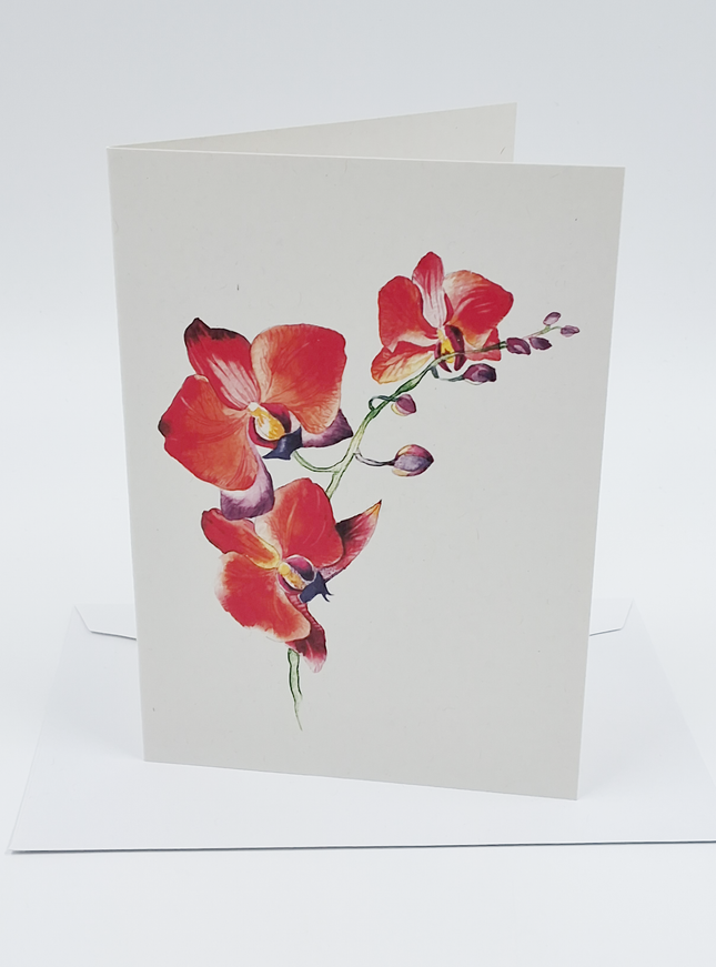 Wenskaart orchidee rood