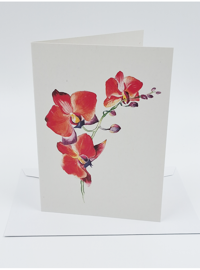 Red orchid greeting card