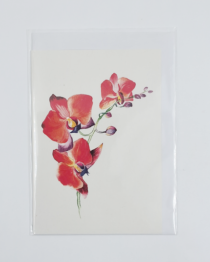 Wenskaart orchidee rood