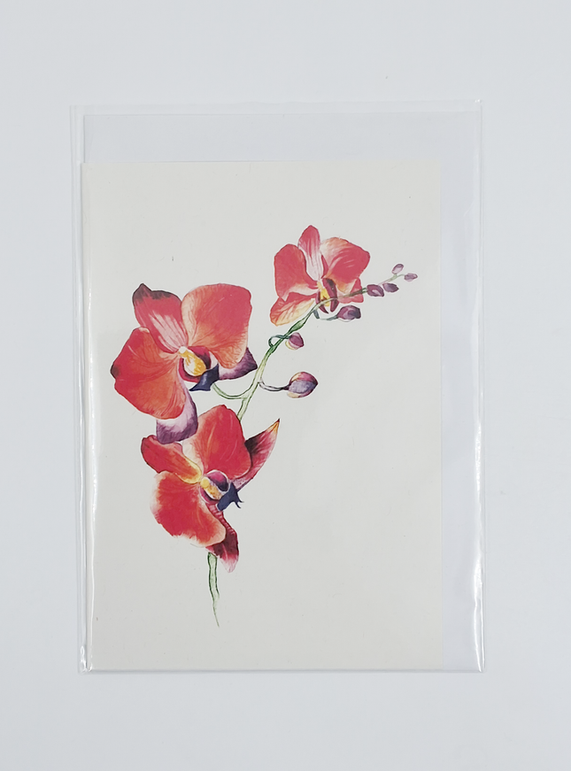 Wenskaart orchidee rood