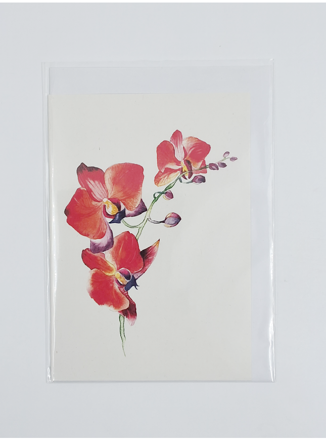 Red orchid greeting card