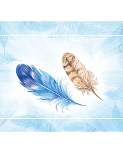 Wenskaart veertjes blauw