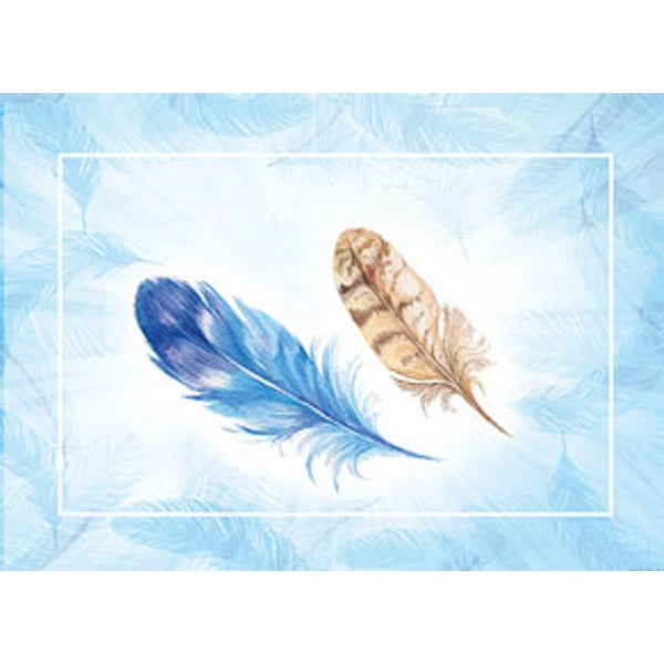 Wenskaart veertjes blauw