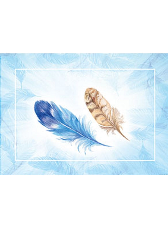 Wenskaart veertjes blauw