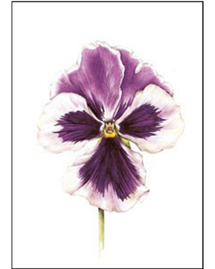 Wenskaart paarse viool