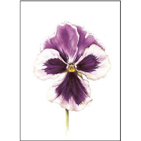 Wenskaart paarse viool