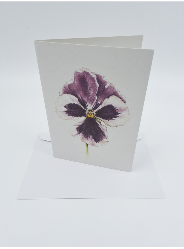 Purple violet greeting card