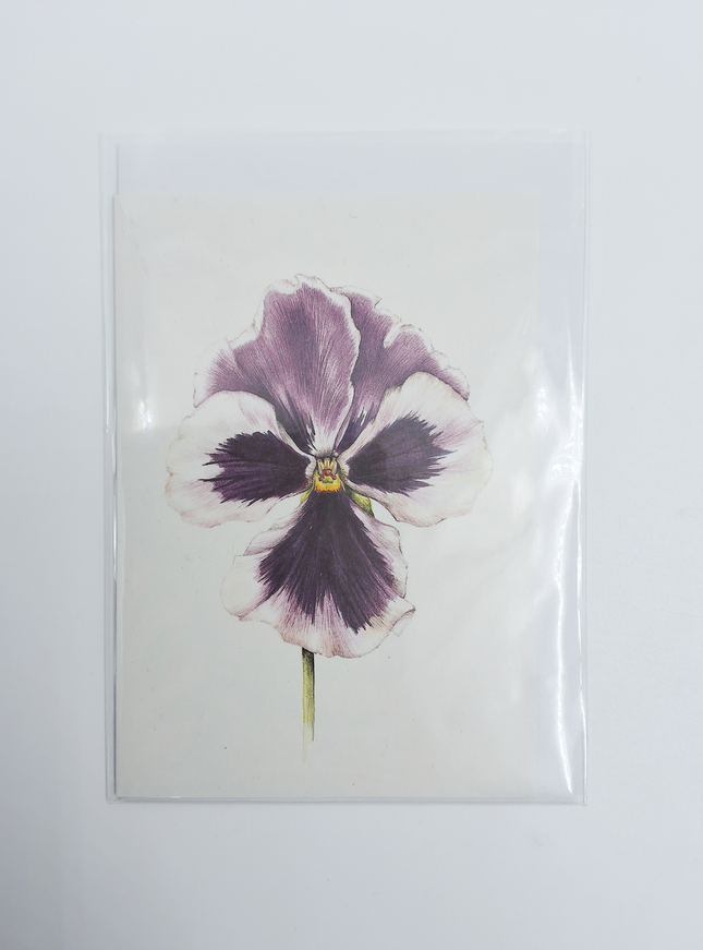 Wenskaart paarse viool