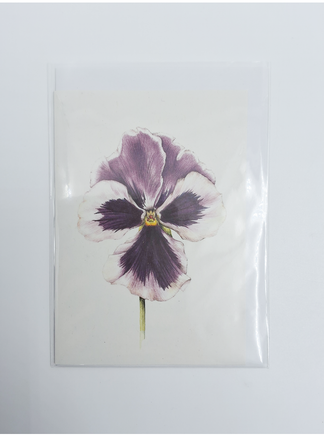 Purple violet greeting card