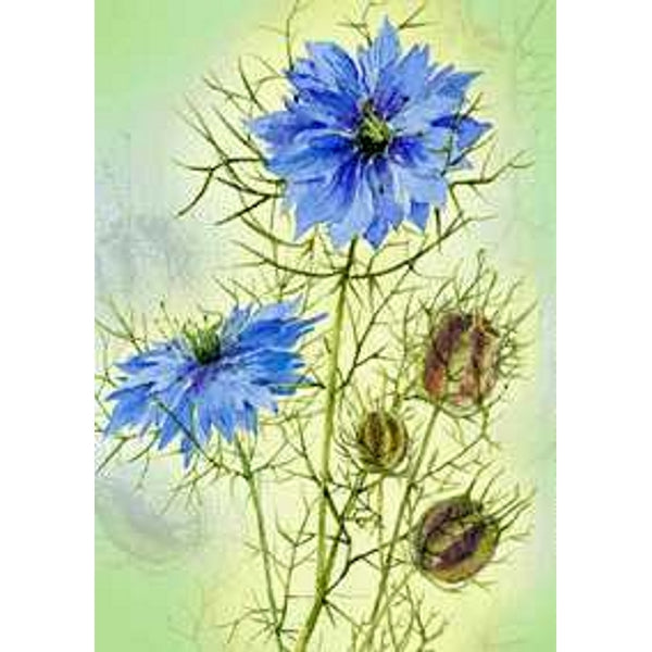 Wenskaart juffertje in 't groen