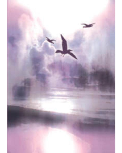 Wenskaart vogels condoleance