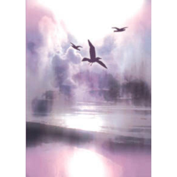 Wenskaart vogels condoleance