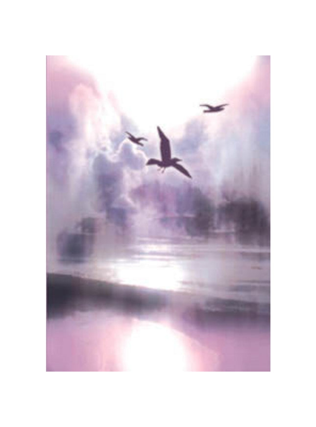 Wenskaart vogels condoleance