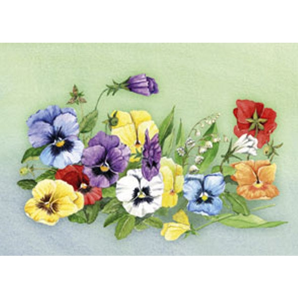 Wenskaart bonte violen Jan