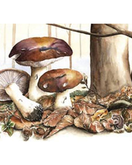 Wenskaart bruine paddestoelen