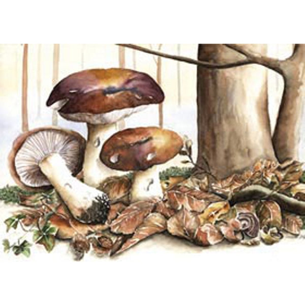 Wenskaart bruine paddestoelen