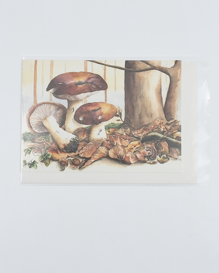 Wenskaart bruine paddestoelen